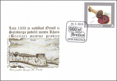 660 LET MESTA BREŽICE